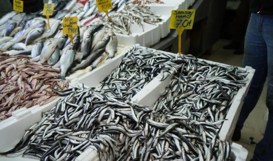 Yeni yıl ile birlikte hem yağlanan hem de boyu büyüyen