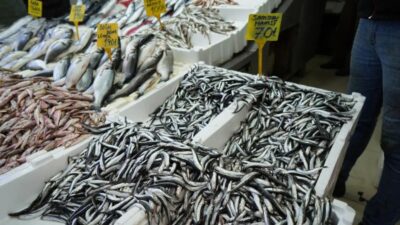 Yeni yıl ile birlikte hem yağlanan hem de boyu büyüyen