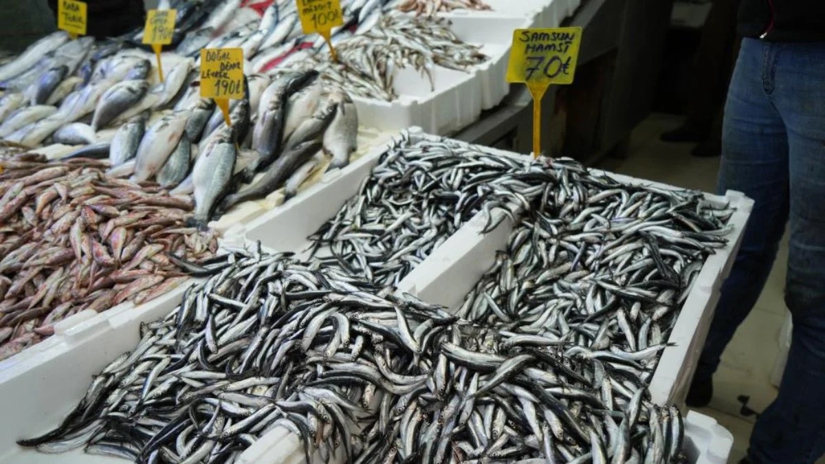 Yeni yıl ile birlikte hem yağlanan hem de boyu büyüyen