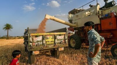 Tarım ve Kırsal Kalkınmayı Destekleme Kurumu'ndan (TKDK) çiftçileri ve balıkları