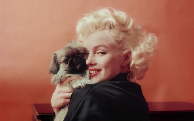 Hollywood yıldızı Marilyn Moore ve Playboy dergisinin kurucusu Hugh Hefner'ın