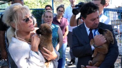 HAYTAP tarafından hazırlanan 'Belediyeler Karnesinde' yer alan Bodrum Belediyesi, sokak