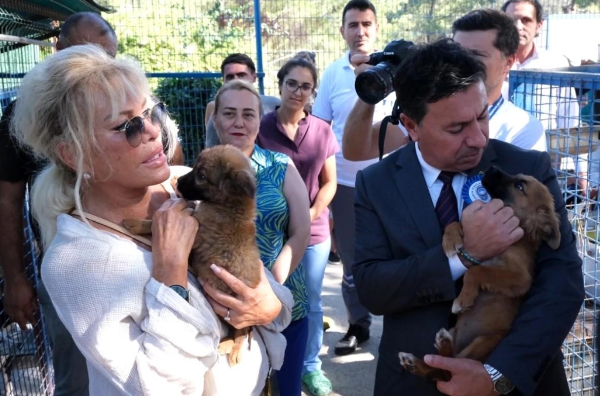 HAYTAP tarafından hazırlanan 'Belediyeler Karnesinde' yer alan Bodrum Belediyesi, sokak