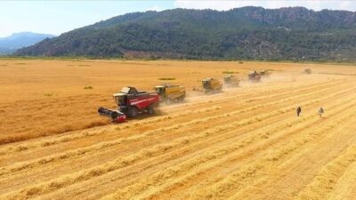 Türkiye İstatistik Kurumu (TÜİK) tarafından açıklanan Tarımsal girdi fiyat endeksi