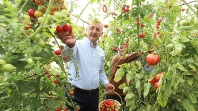 Kocaeli Büyükşehir Belediyesi, kaliteli mahsul ve yüksek verim elde edilmesi