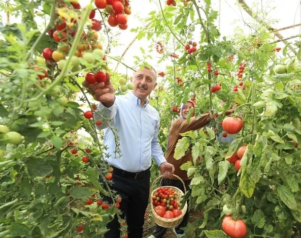 Kocaeli Büyükşehir Belediyesi, kaliteli mahsul ve yüksek verim elde edilmesi