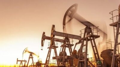 Türkiye Petrolleri Anonim Ortaklığı'ndan petrol arama kararı geldi. TPAO, Adana'da