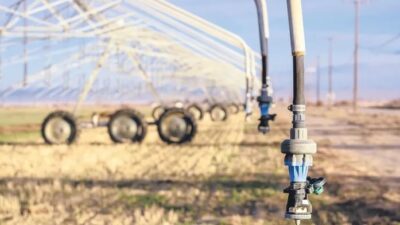 Tarımda dijital bir dönüşüm yaşanıyor. Dijital tarım teknolojilerinde öncü bir