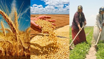 Tarım ve Orman Bakanı İbrahim Yumaklı, hayvancılık ve gıda işleme