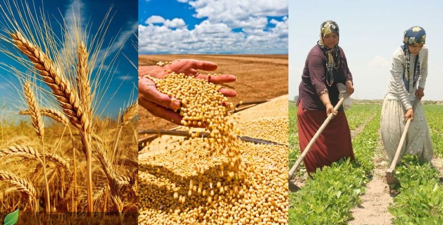 Tarım ve Orman Bakanı İbrahim Yumaklı, hayvancılık ve gıda işleme