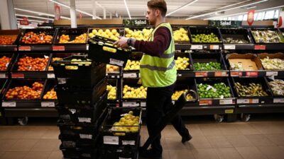 Birleşmiş Milletler Gıda ve Tarım Örgütü (FAO) verilerine göre, küresel