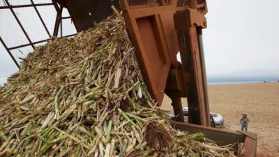 Tarımsal atıklar TÜBİTAK MAM projesiyle katma değerli ürünlere dönüşüyor
