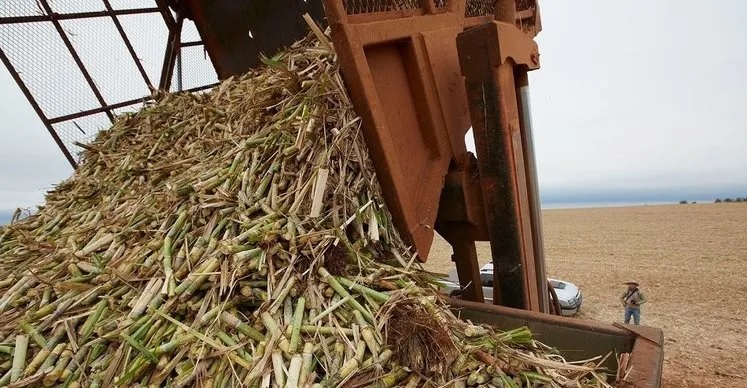 Tarımsal atıklar TÜBİTAK MAM projesiyle katma değerli ürünlere dönüşüyor
