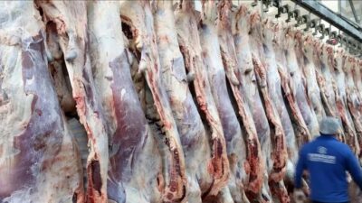 Türkiye'nin toplam kırmızı et üretimi, geçen yıl bir önceki yıla