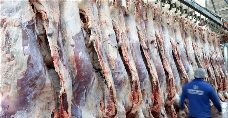 Türkiye'nin toplam kırmızı et üretimi, geçen yıl bir önceki yıla