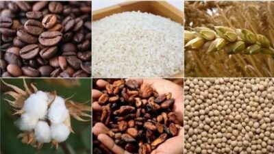 Emtia piyasasında, ABD Merkez Bankasının (Fed) eylülde faiz indirimine gidebileceğine