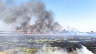 Mardin’in Nusaybin ilçesi ile Suriye’nin Kamışlı kenti arasındaki mayınlı sınır