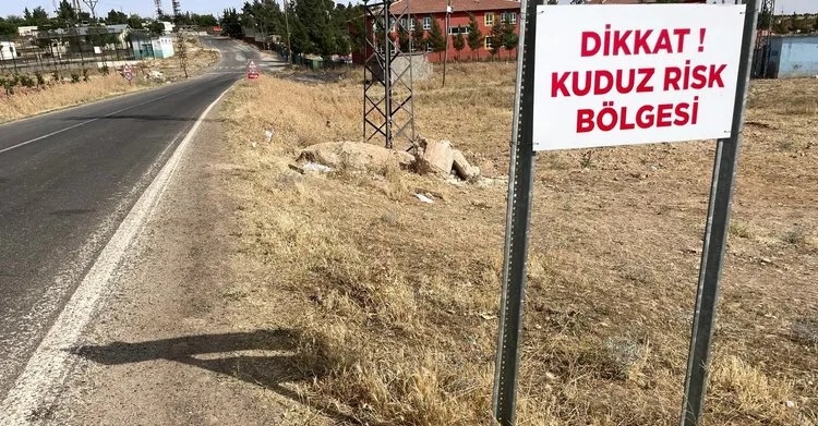 Son dakika haberi: Şanlıurfa'nın Eyyübiye ilçesine bağlı Batıkent ve Payamlı