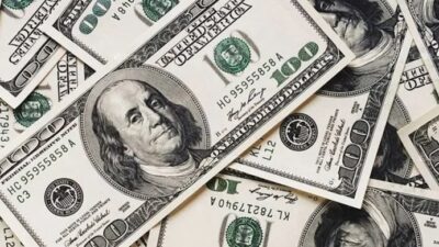 Dış Ekonomik İlişkiler Kurulu (DEİK) Türkiye-Sırbistan İş Konseyi Başkanı ve