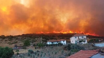 Orman Genel Müdürlüğü, Manisa'nın Salihli ilçesinde meydana gelen orman yangınının