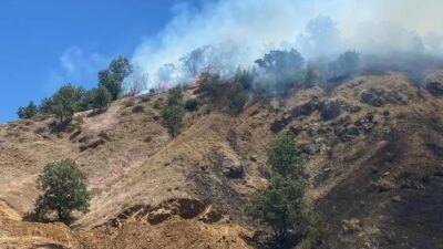 Bingöl'ün Genç ve Kiğı ilçelerindeki ormanlık alanlarda yangın çıktı.
