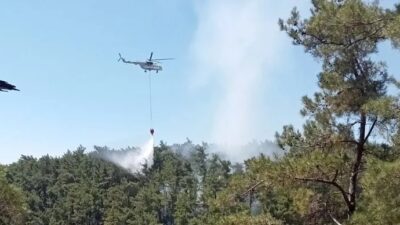 Muğla’da çam ağaçlarının yoğun olduğu ormanlık alanda çıkan yangın, ekiplerin