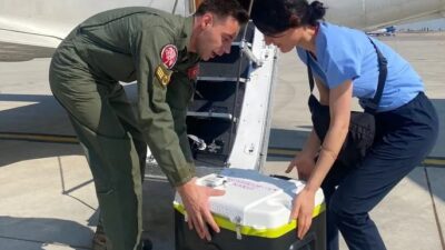 Milli Savunma Bakanlığı (MSB), İzmir'de acil organ nakli bekleyen bir