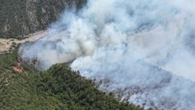Karabük'ün Ovacık ilçesi Soğanlı Köyü Üzümcük mahallesinde sabah saatlerinde başlayan