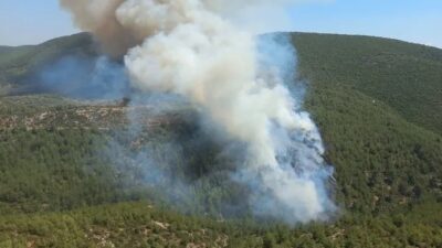 Bodrum’da genç kızılçam ağaçlarının yoğun olduğu bölgede henüz belirlenemeyen bir