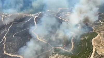 İzmir'in Çeşme ilçesinde ormanlık alanda çıkan yangına ilişkin gözaltına alınanların