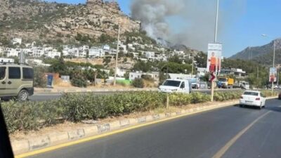 Muğla'nın Bodrum ilçesinde makilik alanda yangın çıktı. İhbar üzerine bölgeye