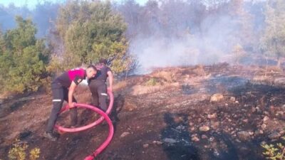 Muğla’nın Milas ilçesine bağlı Beçin ve Çamovalı Mahalleleri’nde başlayan orman
