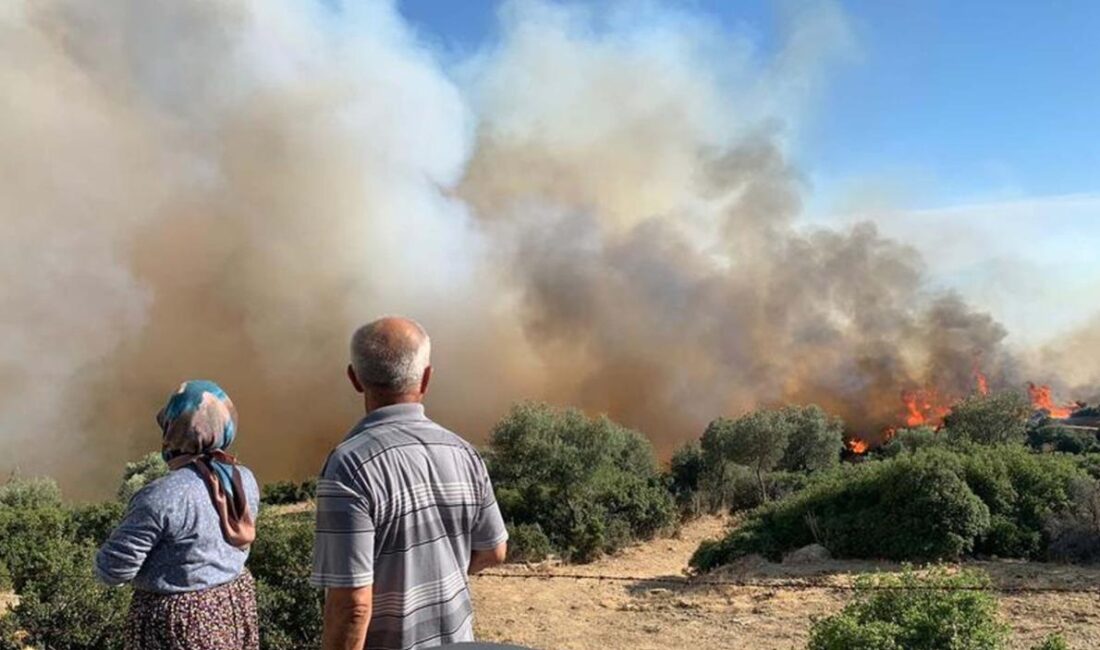 Aydın’ın Germencik ilçesinde ziraat ve makilik alanda başlayan yangın ormanlık