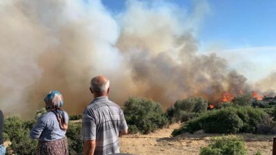 Aydın’ın Germencik ilçesinde ziraat ve makilik alanda başlayan yangın ormanlık