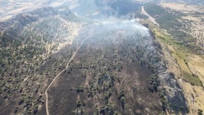 Adıyaman'da çıkan örtü yangını, ormanlık alana sıçramadan ekiplerce söndürüldü.
