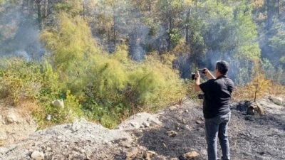 Mersin'in Silifke ilçesinde ormanlık alanda çıkan yangın çevre illerden gelen