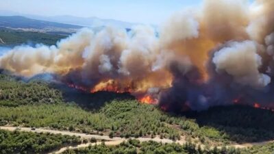 Tarihi Gelibolu Yarımadası'nda, ilçeye bağlı Büyükanafarta köyü yakınındaki ormanlık alanda