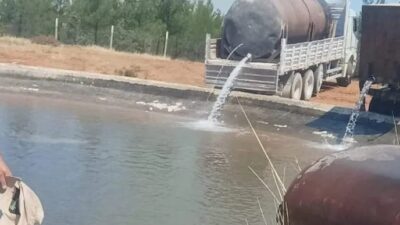 Aydın’ın Bozdoğan ilçesine bağlı Alhisar Mahallesi’nde dün akşam saatlerinde çıkan