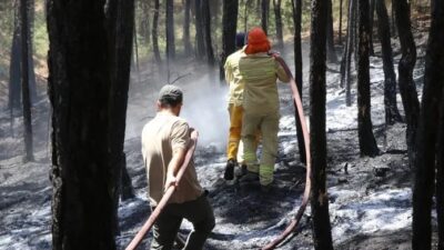 Tarım ve Orman Bakanı İbrahim Yumaklı, Muğla’nın Ula ilçesinde dün
