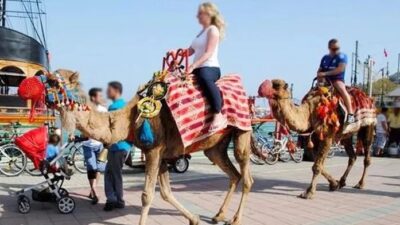 Antalya’nın Alanya İlçesi’nde kurallara uymayan, turizme zarar verdiği ve hayvanları
