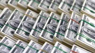 Hazine ve Maliye Bakanlığı, Türkiye'nin brüt dış borç stokunun 30