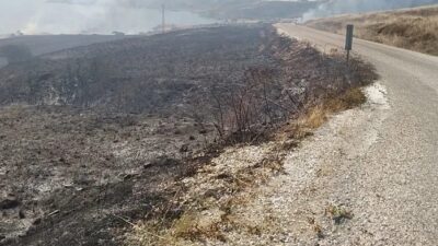 Balıkesir'in Erdek ilçesinde çıkan ot yangını, 2 saatte kontrol altına