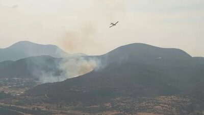 İzmir'in Menderes ilçesinde ormanlık alanda çıkan yangını söndürmek için ekipler