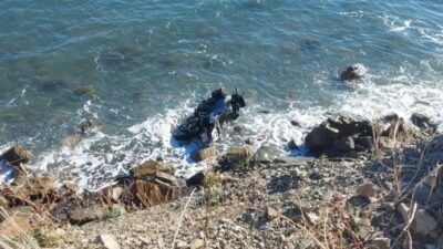 Tekirdağ’da A.Ö. isimli motosikletli sürücü, kontrolünü kaybederek denize yuvarlandı. Sürücüyü