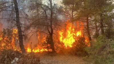 Çanakkale'nin Lapseki ilçesine bağlı Umurbey beledisi yakınlarında saat 15.00 sıralarında