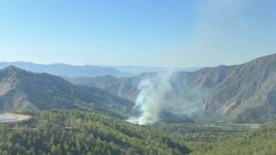 Muğla’nın Dalaman ilçesine bağlı Akkaya vadisinde ormanlık alanda yangın çıktığı