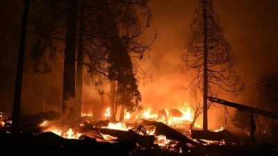 ABD'nin New Jersey eyaletinde polis, orman yangınında kundaklama şüphesiyle 14