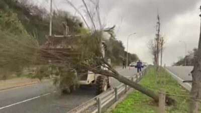 Kocaeli’de sabah saatlerinde etkisini göstermeye başlayan şiddetli lodos, kentte yaşamı