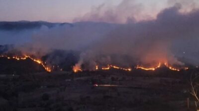 Bursa'nın Büyükorhan ilçesine bağlı kırsal Osmanlar Mahallesi'nde çıkan ve Balıkesir'in