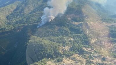 Muğla’nın Köyceğiz ilçesi Otmanlar Mahallesindeki ormanlık alanda henüz belirlenemeyen bir